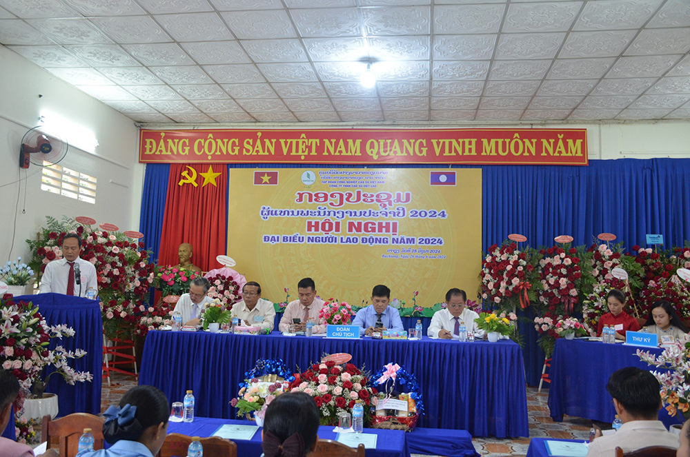 hình ảnh cao su việt lào